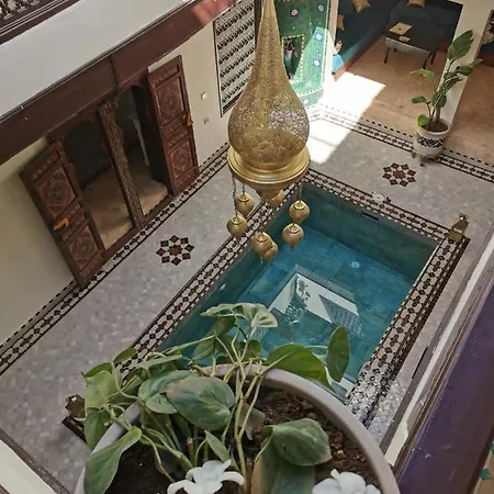 Riad Jolie-3