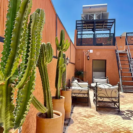 Riad Jolie-3